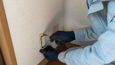 Electrical Outlets Provide a Key Link Between Your Appliance or Device and a Power Source